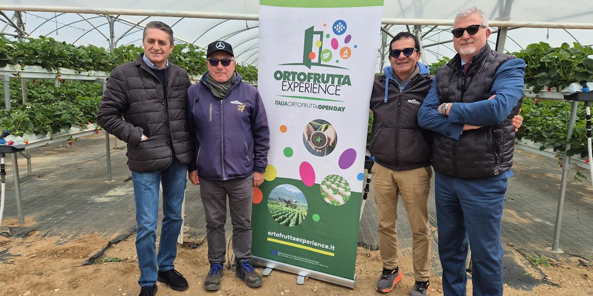 “Ortofrutta Experience”, alla scoperta del percorso di qualità della fragola lucana